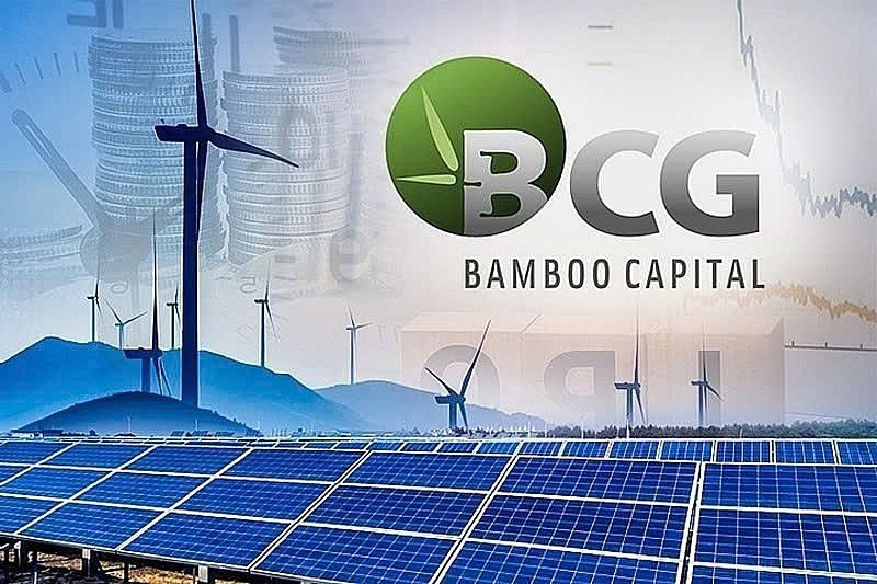 bcg-va-tcd-trong-he-sinh-thai-ong-nguyen-ho-nam-bi-canh-bao-1746692591.jpg