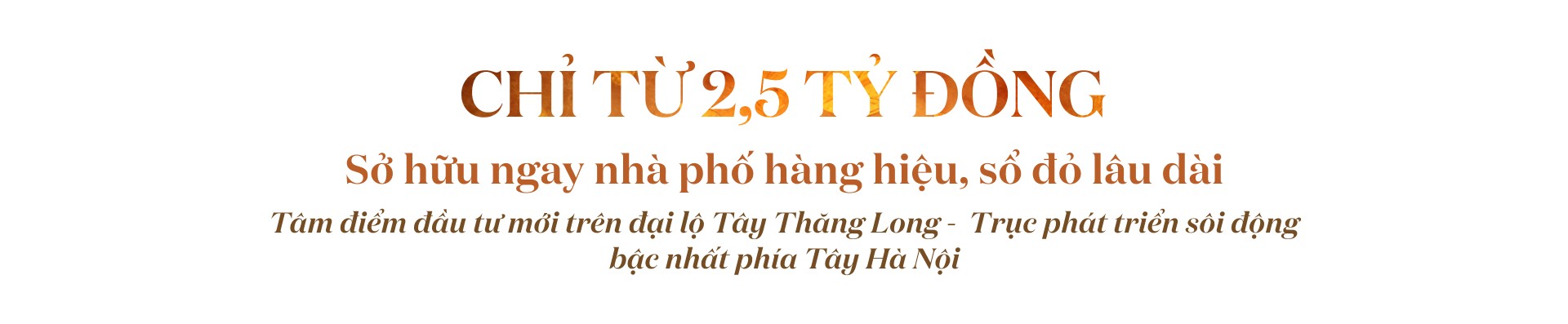 3-1748848606.jpg