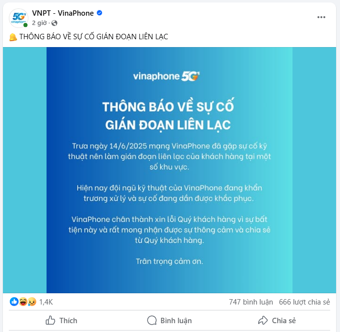 vina-1-1750067296.png