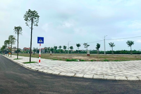 hai-duong-1-1760079614.jpeg