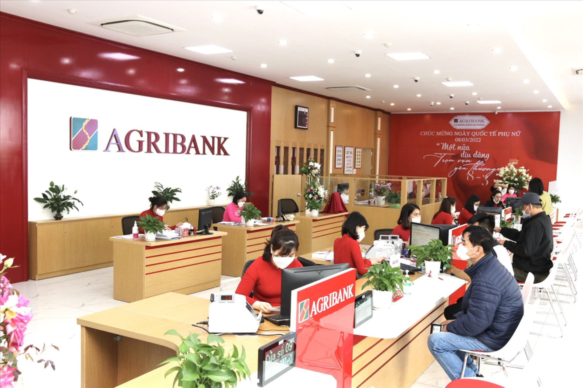 Các sai sót trong thu thập thông tin và giám sát dòng tiền của Agribank Sơn Tịnh xuất phát từ đâu?