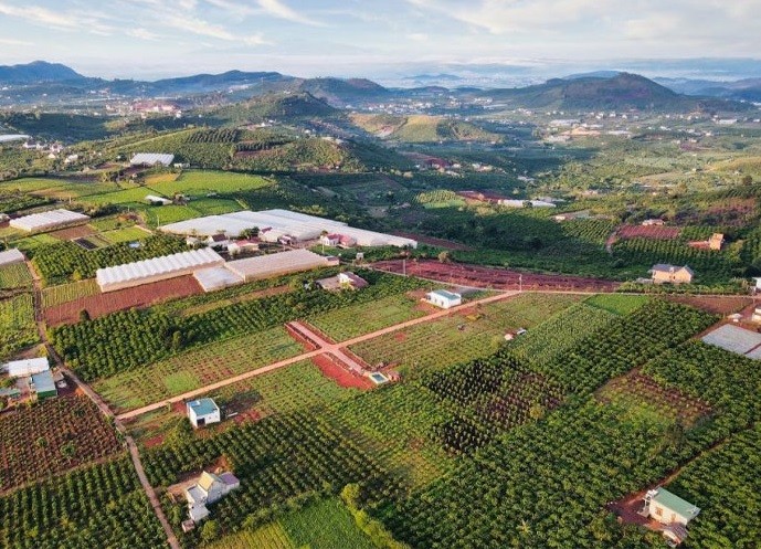 Những trường hợp nào sẽ áp dụng quy định tính tiền sử dụng đất mới từ ngày 1/7?