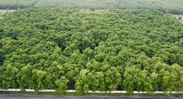 Từ “vùng đệm” lên cực tăng trưởng mới: Xã rộng hơn 182km2 của TP.HCM đang dần thay đổi diện mạo
