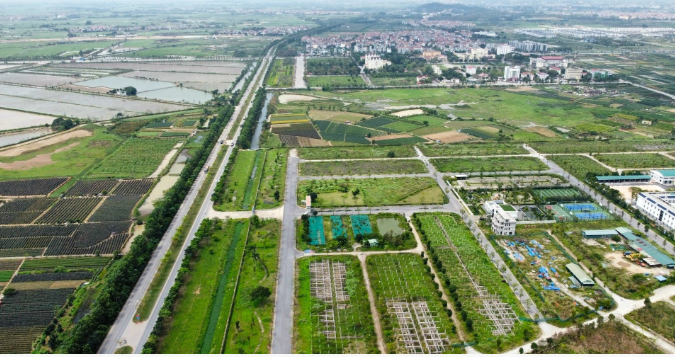 MST tăng tốc mở rộng quỹ đất, dự chi hơn 1.100 tỷ đồng đấu giá đất tại Hà Nội