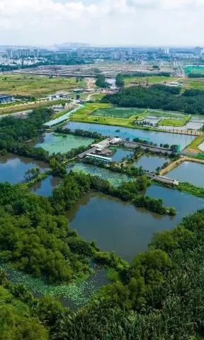 Siêu dự án "treo" hơn 3 thập kỷ ở TP.HCM sắp chuyển mình với diện mạo hoàn toàn mới