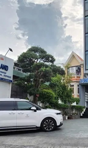 Đông Tây Land vừa lên UPCoM, nợ thuế đã vượt 29 tỷ đồng