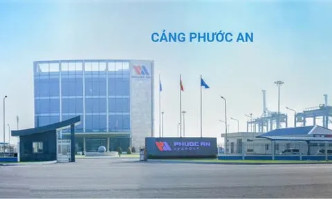 Cảng Phước An bị phạt hơn 327 triệu đồng vì vi phạm quy định