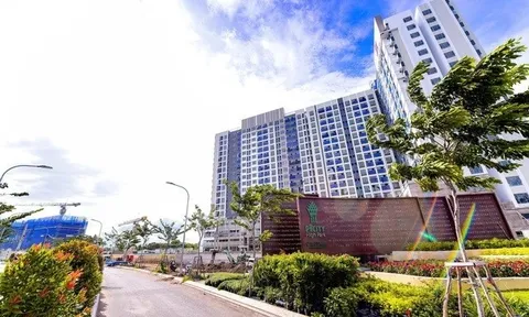 Công ty con Pi Group nợ thuế hơn 347 tỷ đồng, dẫn đầu danh sách nợ tại TP.HCM