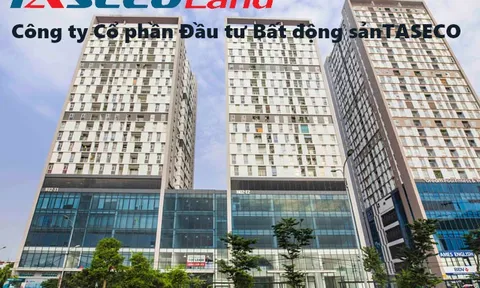 Taseco Land tính phát hành cổ phiếu riêng lẻ ngay sau khi lên sàn HOSE