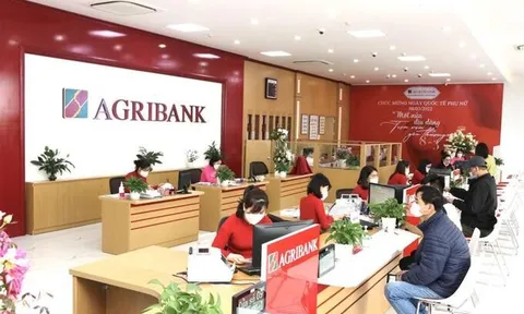 Agribank Phan Rang còn nhiều tồn tại, hạn chế trong hoạt động cấp tín dụng