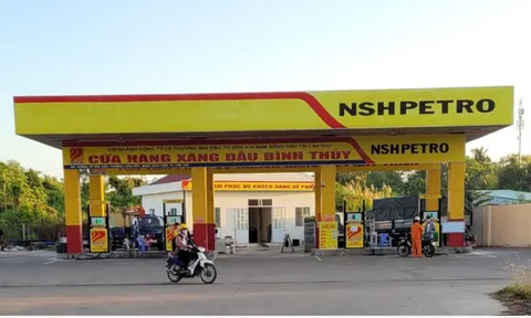 Hơn 3.600 tỷ đồng nợ thuế tại Cần Thơ, riêng Nam Sông Hậu chiếm hơn 1.200 tỷ