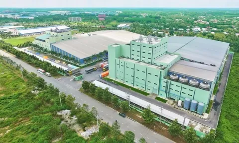 Nợ vay vượt vốn chủ, Unitex thành “canh bạc” lớn của Sợi Thế Kỷ