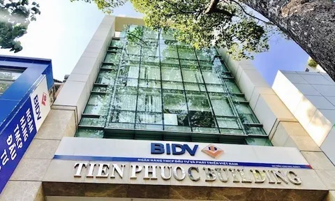 Nợ vượt 10.000 tỷ, Tiến Phước vẫn báo lãi kỷ lục nửa đầu 2025