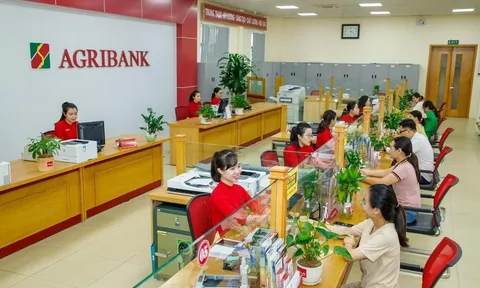 Hai chi nhánh Agribank tại Huế còn nhiều tồn tại, sai sót trong công tác hoạt động cho vay