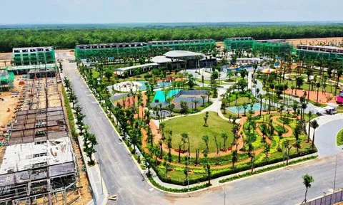 Hà An, Hưng Phát, Nam Kim – top đầu danh sách nợ thuế