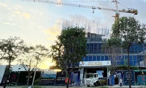 Vinaland – chủ dự án Viva Plaza – bị công khai nợ thuế hơn 24 tỷ đồng
