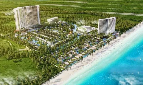 Nợ thuế quá hạn, Giám đốc Bến Thành – Long Hải đối diện lệnh cấm xuất cảnh