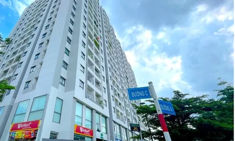 Chủ đầu tư CTL Tower và Alpha Land Group nằm trong danh sách nợ thuế hàng tỷ đồng