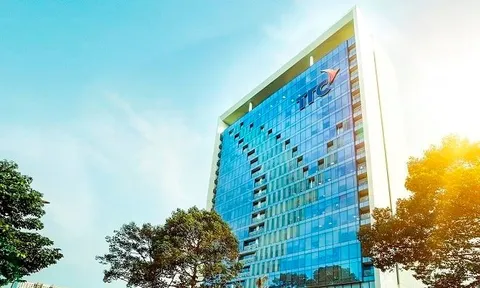 Đầu tư Thành Thành Công bị phạt 185 triệu đồng vì sai phạm trái phiếu