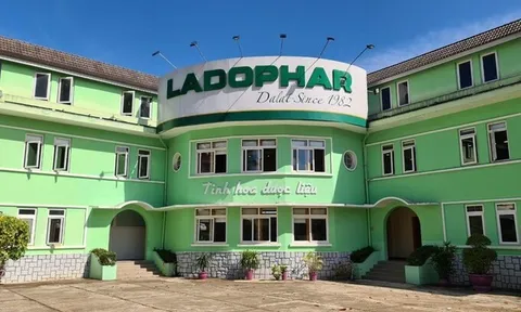 Giao dịch BIG khiến Ladophar dính phạt, nhưng vì sao lãi vẫn tăng 90%?