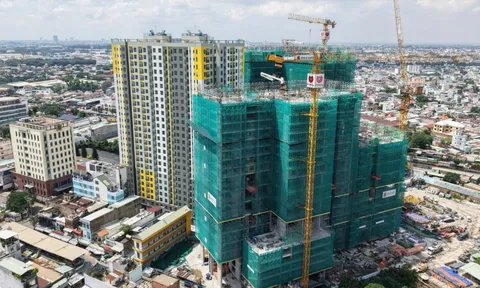 Loạt công ty con thuộc Pi Group liên tiếp bị nêu tên nợ thuế hàng trăm tỷ — Vì sao?