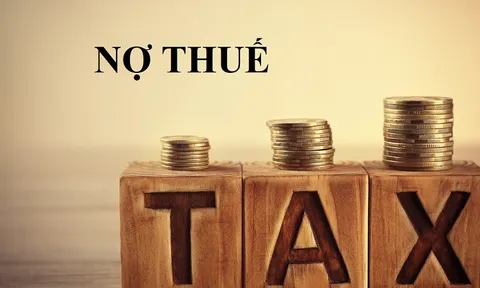 Điều gì khiến Công ty 99 Núi liên tục bị “réo tên” vì nợ thuế?