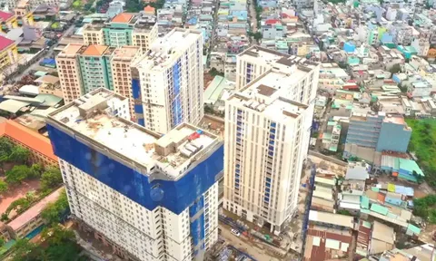 Vì sao Lạc Việt nợ thuế hơn 19 tỷ đồng và nguy cơ lãnh đạo bị tạm hoãn xuất cảnh?