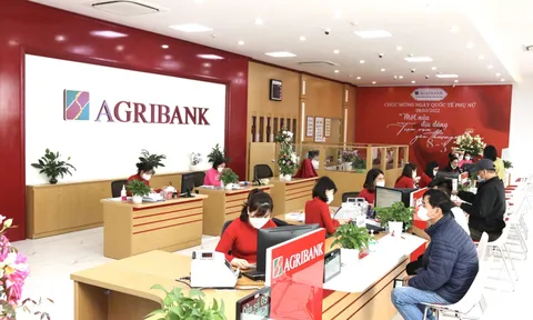 Agribank Đồng Tháp sau thanh tra cần khắc phục các tồn tại, hạn chế nào trong hoạt động tín dụng?