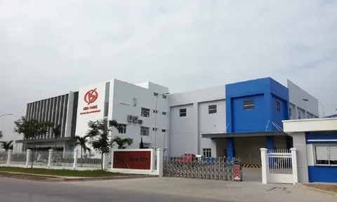 Kido vì sao bị truy thu và xử phạt hơn 3,7 tỷ đồng tiền thuế?