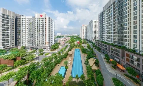 Ai là người đại diện pháp luật của Pi Home đối diện nguy cơ bị hoãn xuất cảnh?