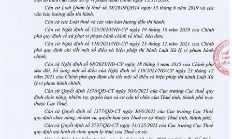Vi phạm thuế ảnh hưởng thế nào đến bức tranh tài chính của An Dương Thảo Điền?