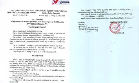 Việc Ngọc Châu Á rời trụ sở đăng ký kinh doanh có liên quan đến quyết định cưỡng chế thuế?