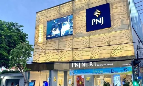 PNJP đã vi phạm những gì trong công tác phòng, chống rửa tiền?