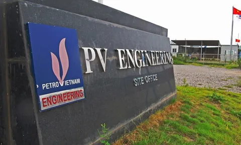 PVE đang đối mặt khủng hoảng tài chính khi nợ BHXH hơn 15,6 tỷ đồng?