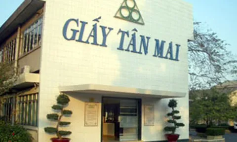 Nợ thuế triền miên phản ánh điều gì về sức khỏe tài chính của Tập đoàn Tân Mai?