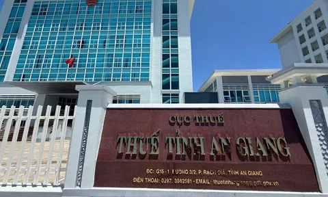Nợ thuế kéo dài phản ánh điều gì về năng lực tài chính của một số doanh nghiệp tại An Giang?