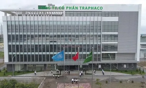 Traphaco đã sai sót gì trong kê khai thuế giai đoạn 2023–2024?