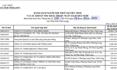 Vì sao hai công ty trong hệ sinh thái Hoàng Quân cùng lúc lọt danh sách nợ thuế lớn?