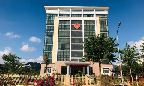Vì sao Công ty TNHH Địa ốc Toàn cầu - PICENZA nợ thuế hơn 41 tỷ đồng tại Sơn La?