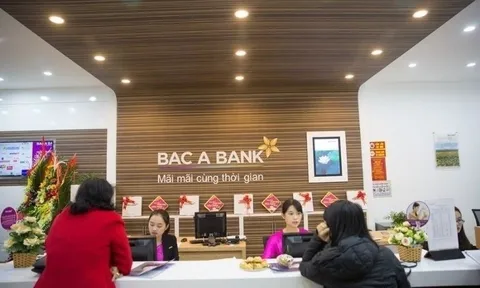 BacABank Đồng Nai bị chấn chỉnh sau thanh tra: Đã xảy ra những sai sót gì trong hoạt động cho vay?