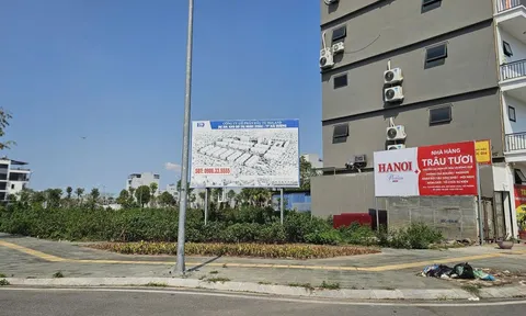 Những sai sót nào của HDLand trong quá trình triển khai dự án khu dân cư tại Hải Phòng?
