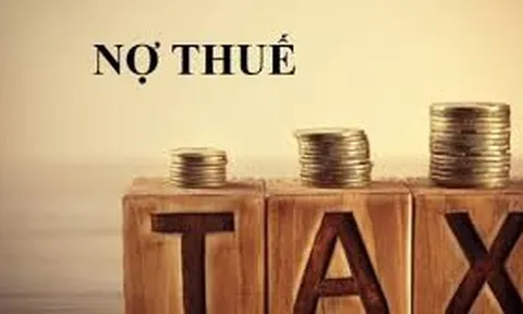Gạch TUYNEL Minh Tân và Phương Nam Thái Bình nợ thuế ra sao?