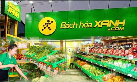 Nợ thuế hơn 4 tỷ đồng, hoạt động của chi nhánh Bách Hóa Xanh có bị ảnh hưởng?