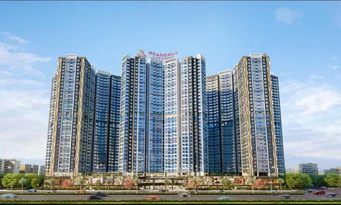 TCH bị “tuýt còi” thuế hơn 20 tỷ, vì sao Dragon Capital vẫn mạnh tay mua vào?
