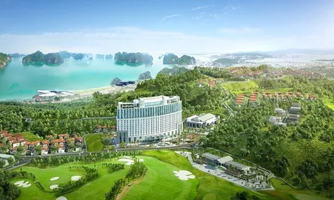 Loạt nghĩa vụ tài chính nào của FLC tại Quảng Ninh đang bị rà soát gắt gao?