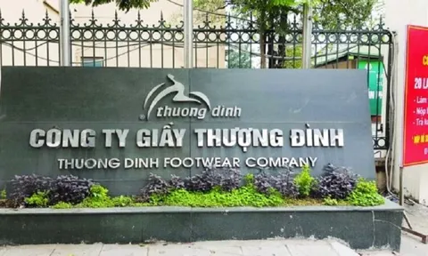 Doanh nghiệp thua lỗ kéo dài, Giầy Thượng Đình lấy gì để gánh dự án 10.000 tỷ?