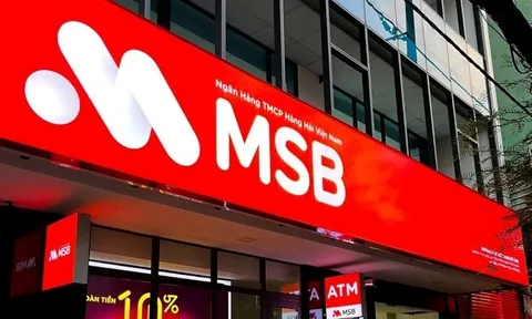 MSB trước “lăng kính” kiểm tra thuế: Tăng trưởng quy mô nhưng áp lực nợ xấu hiện hữu
