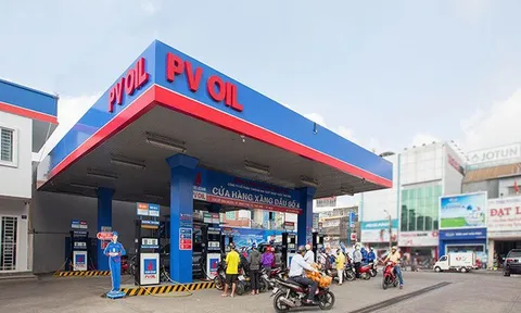 Sai phạm kê khai thuế, vì sao PVOIL bị phạt gần 1,6 tỷ đồng?