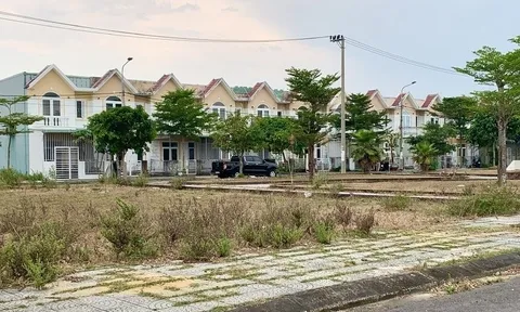 Dự án Viêm Minh Hà Dừa: Nợ thuế lớn, tranh chấp kéo dài đến bao giờ?
