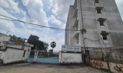 Tập đoàn Tân Mai đã chuyển nhượng cổ phần tại Bất động sản Tân Mai như thế nào?